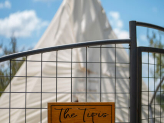 gallery_tipis_2024_09
